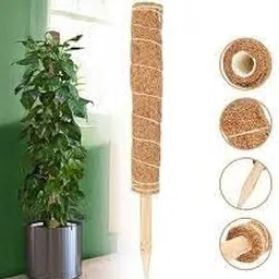 WoLFoo Coir Coco Pole Moss Stick 3ftGarden Mulch,CoirSticks for Indoor Outdoor House Plant Creepers Climbers Vine Plants Pothos Money Plant Monstera Support (3 feet) (2)-picture-26