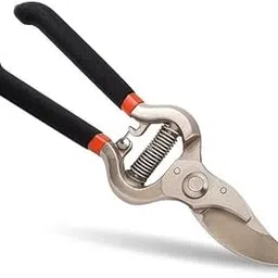 Garden Shears Pruners Scissor, Pruning Seeds Hedge Cutter (Multicolour, Flower_Cutter(8inch)) Bypass Pruner (Manual) v-picture-31
