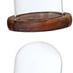 Merishopp 2 Pieces GlDome Cloche with Wooden Base Flower Landscape Holder Covers-picture-67