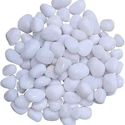 Premium Polished White River Pebbles (1 kg) | Decorative Stones for Plants, Aquarium, Vases & Home Decor | 10-16mm-image-90