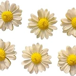 Pure Candles Set of 6 Daisy Flower Floating Candles for Water Bowl | Coffee Scented | 100% Soy Wax | Candles for Decoration | Diwali Gifts for Family and Friends| Diwali Decoration (Vanilla)-image-62