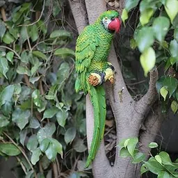 Wonderland Green Parrot-Big Outdoor Statue (Side View) | Size 18 Inches | Material Resin | Hanging Decor for Home, Garden, Balcony, Tree, Patio or Terrace with Nail Behind-image-2