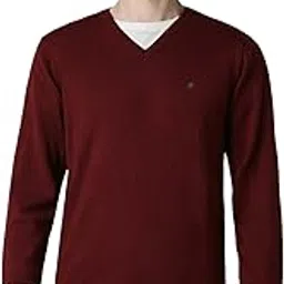 louis philippe Men's Acrylic Blend Casual V-Neck Sweater-picture-28