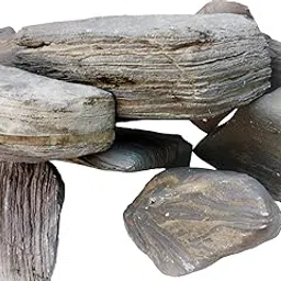 Ancient Layered Petrified Wood Stone, Natural Fossil Rock, Aquarium Decor, Terrarium Decor, Garden Decor (1, Kilograms)-picture-27