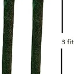 Bhajanlal Greenery Moss Grass Stick for Climbing Money Plant, Indoor and Outdoor Plants, Support (2 Foot) -Set of 2-image-25