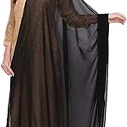 Woman's Chiffon Dupatta with lace on border.-image-84