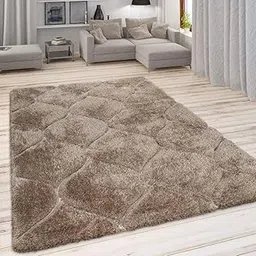 RETRO CARPET Shaggy Floor Carpets for Living Room Modern Shag Area Rugs 5 X 7 FEET Fluffy Ultra Soft Handcrafted Anti-Skid Carpet Bedroom Home Decorate Floor Kids Playing Mat (Beige C)-picture-10