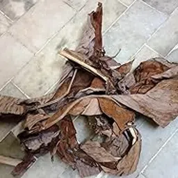Aadityaa's Dried Banana Leaves for Culinary Purposes, Traditional Medicine, Natural Remedy for Dry Scalp, Fuel, Tatching Rope, Garden Mulch, Decorations Arts Crafts Packaging, Pack of 200Gm,-image-13