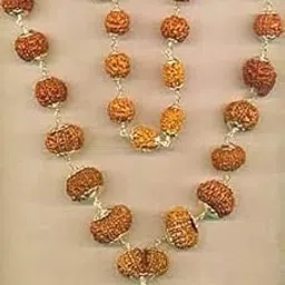 WorldwideGems Indra Mala Nepal 1 to 21 Mukhi Rudraksha Mala Original Certified 1 se 21 Mukhi Rudraksha Indrani Mala 1 Mukhi +2 Mukhi +3 Mukhi +4 Mukhi +5 Mukhi +6 Mukhi +7 Mukhi +8 Mukhi + 9 Mukhi+ 10 Mukhi +11 Mukhi +12 Mukhi+ 13 Mukhi +14 Mukhi+ 15 Mukhi+ 16 Mukhi+ 17 Mukhi +18 Mukhi +19 Mukhi +20 Mukhi +21 Mukhi + Rudraksha+ Gauri shankar Rudraksha+ Ganesh Rudraksha+ Trijuti Rudrasksha Shahi Indrakshi With Certificate Best इन्द्राणी रुद्राक्ष माला 1 से 21 मुखी रुद्राक्ष-picture-11