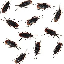 Cooplay 12 Roaches Prank Cockroach Bugs Look Real-picture-19