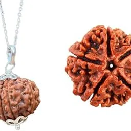 gemstone gallery Traditional No Mukhi Rudraksha Original Certified 9 Mukhi Rudraksha with Free 5 Mukhi Rudraksha Nine Mukhi Rudraksha Nepali 9 Face Rudraksha For Prayer Beads नव मुखी रुद्राक्ष ओरिजनल-picture-12