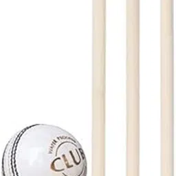 RANAC Sports Cricket Wooden Stump Set with White Leather Cricket Ball-image-16