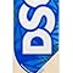 DSC BLU 11 Kashmir Willow Cricket Bat, Size-5-picture-68