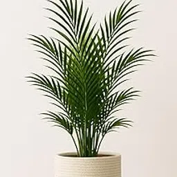 Plufy Cotton & Jute Rope Planter Basket for 10 Inch Pot – Handcrafted Pot Cover with Ceramic-Like Finish | Eco-Friendly Decorative Cachepot for Indoor & Balcony Plants-picture-11