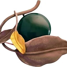Shivyam Whispering Woods Saree Pin for Women | Elegant Decorative Brooch for Sarees, Dupattas & Ethnic Wear | Lightweight Fashion Accessory for Weddings, Parties & Festivals-image-1