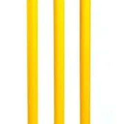 Tiwari Sports Wicket-picture-29