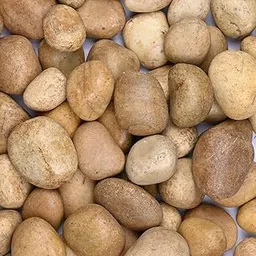 ORILEY Beach Pebbles Polished (3-6cm, Yellow, 8 kg) Smooth & Round Stones River Rocks Decorative for Home Decor Aquariums Crafting Garden Lawn-picture-16