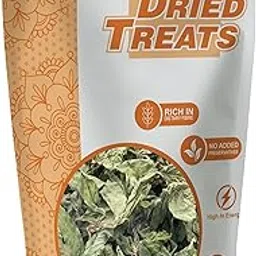 Dried Treats Pudina/Mint -250g-picture-39