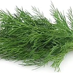 Fresh Dill Leaves, 250 grams Bunch-picture-12