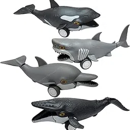 SHAKTISM Ocean Life Pull Back Marine Animals Toy Featuring Megalodon, Orca, Dolphin and Humpback Whale Random Colour Dispatch 2Pc-picture-45
