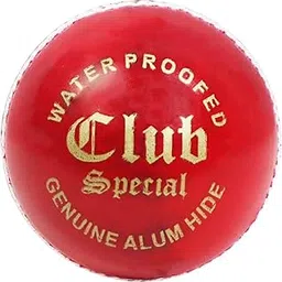 WSG Leather Ball| 4-Piece Hand-Stitched | Genuine Leather | Premium Lacquer Finish | High Abrasion Resistance | ICC Standard Weight 156g | Ideal for 20 Over Match & Training | Red-picture-21