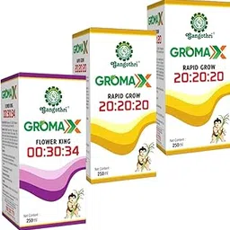 Gangothri GROMAX RAPID GROW 20:20:20 - Pack of 2-250ML & GROMAX FLOWER KING 00:30:34-250ML | Perfect Growth Solution for Seedlings & Young Plants | Soil and Fertilizer for Plants & Home Garden-picture-44