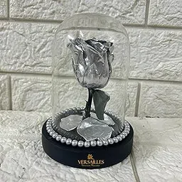 Versailles Symphony – Preserved Rose in Glass Dome with Silver Beads | Elegant Home Décor Centerpiece-image-16