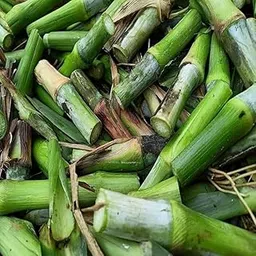 Smart napier grass stick Pack of 30-picture-15