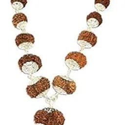 Hdbg Pure Nepali Aa++ 1 To 14 Mukhi Rudraksha Sidh Mala Original Certified Highly Precious Siddha Mala 1 To 14 सर्वा सिद्धा रुद्राक्षा जाप माला One to Fourteen Faced, Gauri Shankar & Ganesh Bead Astrological Mala For Unisex-image-55