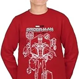 Allen Solly Junior Boys Sweatshirt-picture-13