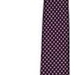 louis philippe Men Purple Embroidered Tie-picture-28