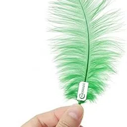 Chayanvi Artificial Feathers – 100 Pcs | Height - 4 inch | Soft Decorative Craft Feathers for DIY, Home Décor, Costumes & Art Projects - Green-image-40