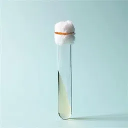 PDA Prepared in Test Tube for Mushroom Culture – Grow Oyster, Shiitake, Reishi, Lion’s Mane & Button Mushroom Mycelium – Ideal for Lab Use, Mushroom Farming, Science Projects & Home Growing Kits-picture-27