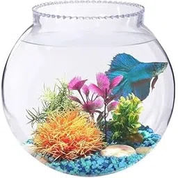 Fish Bowl (8 Inches) 3.5 litres-picture-16