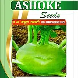ASHOKE Seeds Hybrid Ganth Gobhi Seeds Best for Kitchen Garden and Farms (Pack of 100 seeds)-picture-25