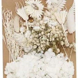 THE STYLE SUTRA® 2x1Bag Dried Flowers Dry for DIY Scrapbooking Crafts Resin Craft Jewelry White | Crafts | Home Arts & Crafts | Floral Crafts | Dried Botanicals & Potpourri | Dried Flowers-picture-61
