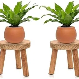 Vintageware® Multipurpose 3 Leg Wooden Planter Stand for Indoor and Outdoor || Wooden Planter Stool || Flower Pot Stand || Vase Stand || Pack of 2-picture-34