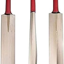 BRIOVY Kashmir Willow Wood Cricket Bat with Ball-picture-13