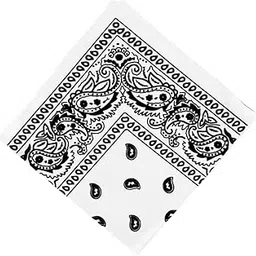 shopora Unisex Cotton Paisley Bandana Cowboy Head Scarf Head Wrap White | Womens Accessories | Scarves & Wraps-picture-44
