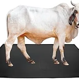 HAKEX Heavy-Duty Livestock Rubber Mat – 8x5 Ft, 30mm Thick – Waterproof, Anti-Slip Mat for Cows, Horses & Buffalo – Ideal for Barns, Sheds & Stables (Black)-picture-26