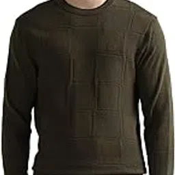 arrow Men's Textured Regular Fit Sweater-picture-53