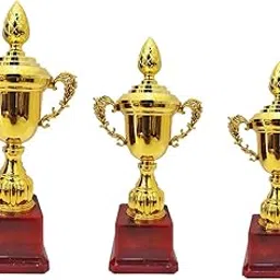 Trophy for Winner Pack of 3 (Size-11inch/10inch/9inch)-picture-25