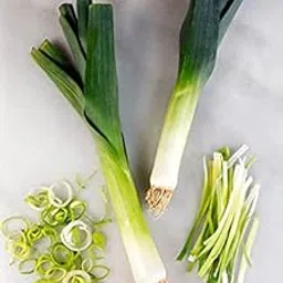 GARDENIFY INDIA F1 HYBRID LEEK SEEDS (100 SEEDS/PACKET)-picture-19