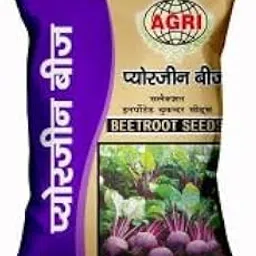 ROOTS TO KITCHEN Puregene Seeds | Beetroot Seeds (No of seeds - 500)(pack of 2)-picture-23
