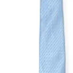 louis philippe Men Blue Embroidered Tie-picture-17