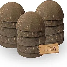 Coco Land Coconut Shell Finished Bowl (Medium Size Pack Of 15) (8-10 Cm Diameter) 150 Ml Decorative Pots/Showpieces/Candle Making Bowl/Handicraft/Agro Craft, Brown-picture-14