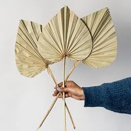 Whispering Homes Palm Spear Leaf - Natural-picture-16