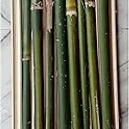 Bamboo Sticks for Plant Support Pack of 40 pcs 27 inches Height/Climbers Support for Live Plant-picture-12