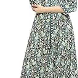 biba Women Liva A-Line Printed Dress-picture-33