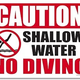 Honey Dew Gifts Pool Decor, Caution Shallow Water No Diving 9 inch by 12 inch Metal Aluminum Pool Signs, Swimming Pool Outdoor Signs, Made in USA-picture-32
